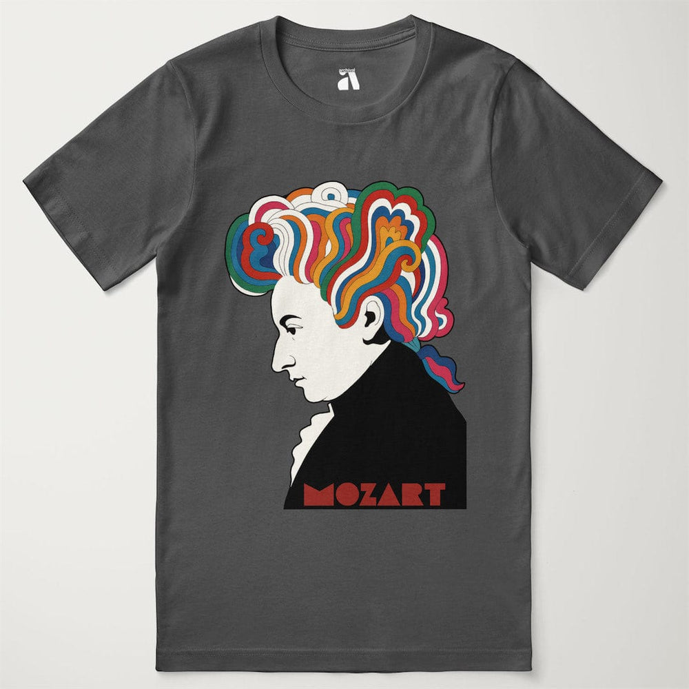 mozart: dylan '66 classic tee in asphalt, laid flat