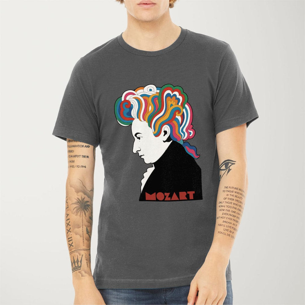 mozart: dylan '66 classic tee in asphalt, worn