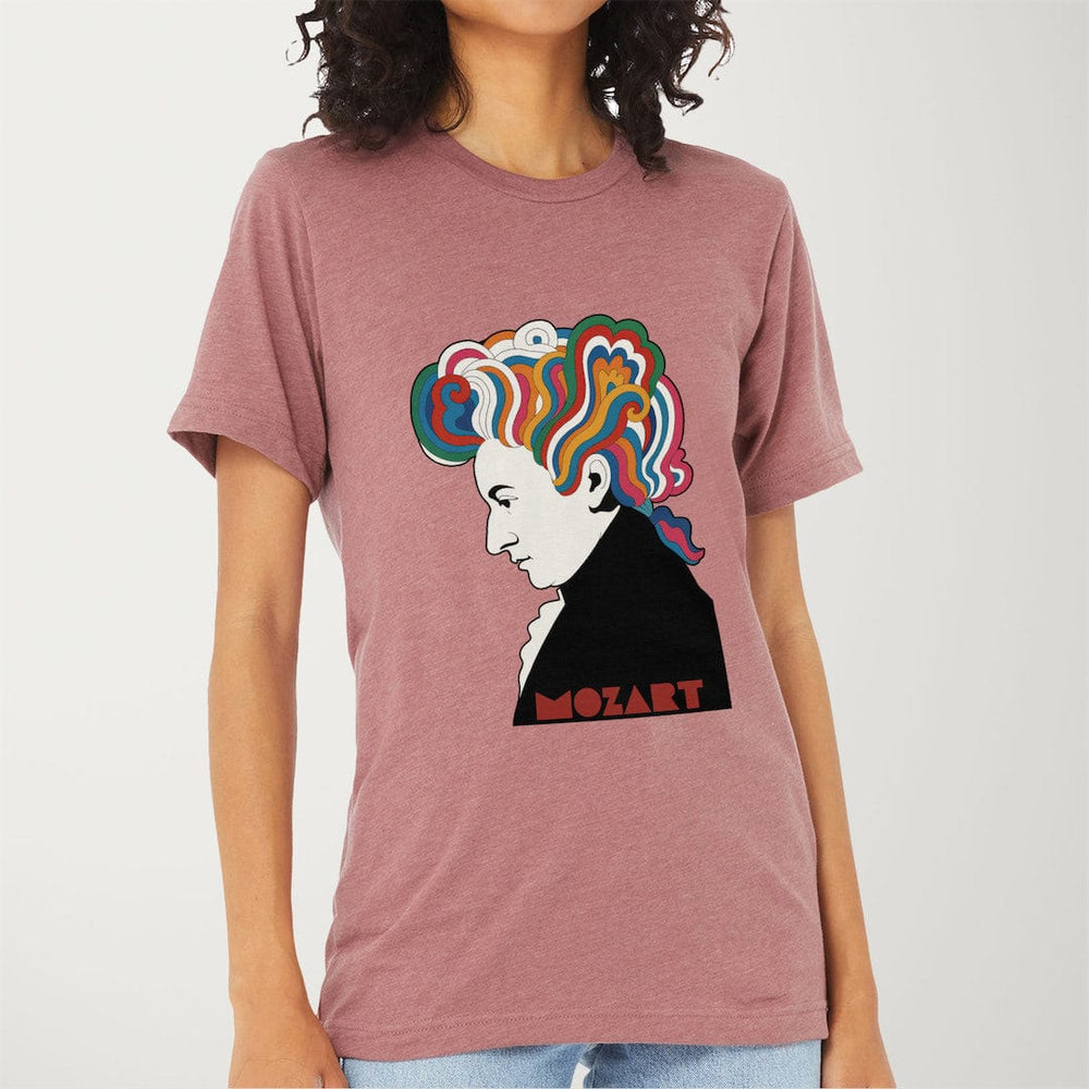 mozart: dylan '66 classic tee in heather mauve, worn