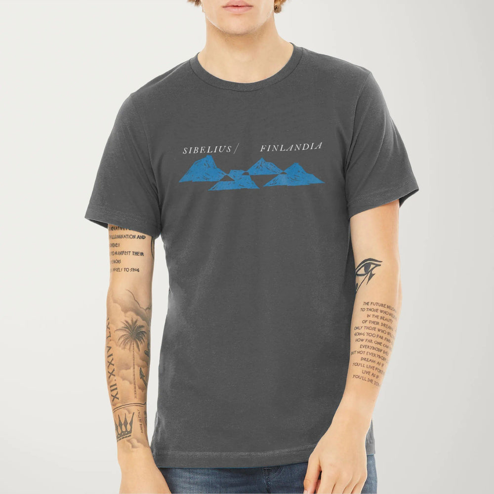 sibelius: finlandia classic tee in asphalt, worn