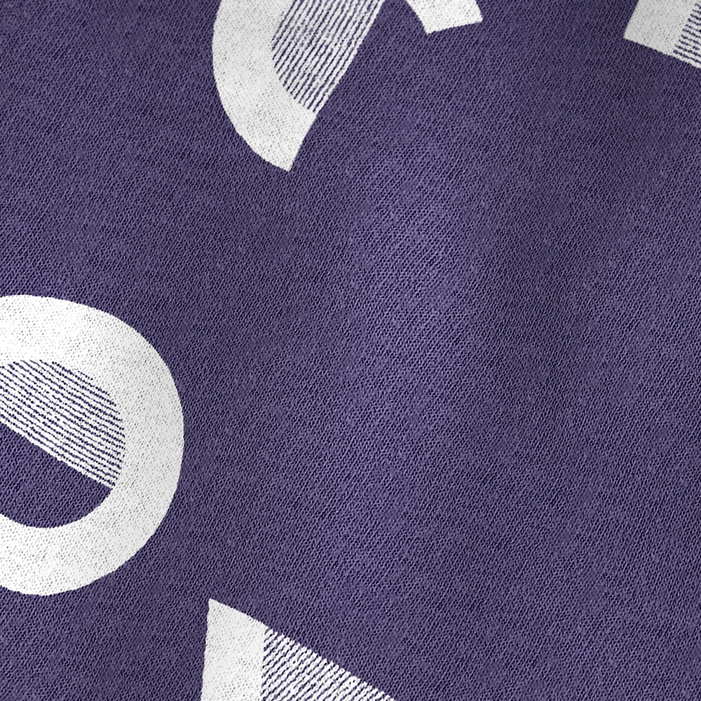 tchaikovsky: wordmark vintage heavyweight tee in grape, close-up of the print