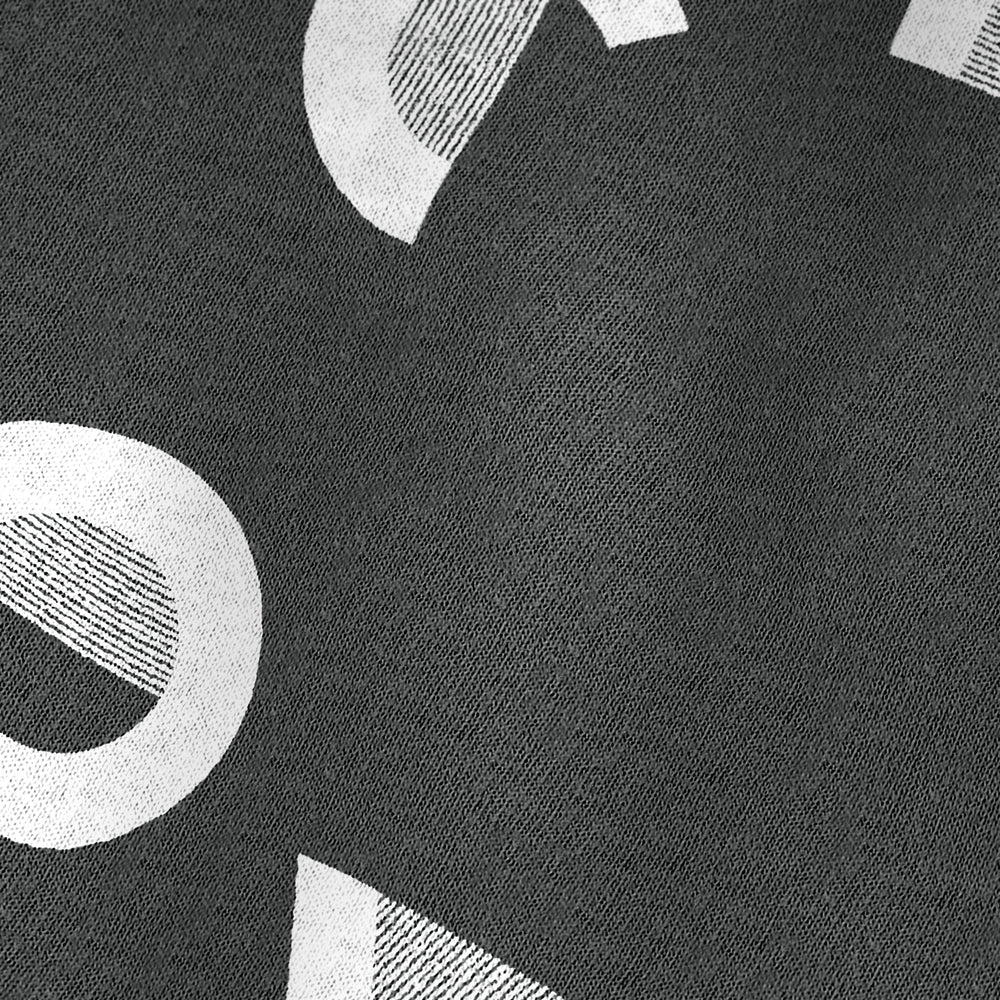 tchaikovsky: wordmark vintage heavyweight tee in pepper, close-up of the print